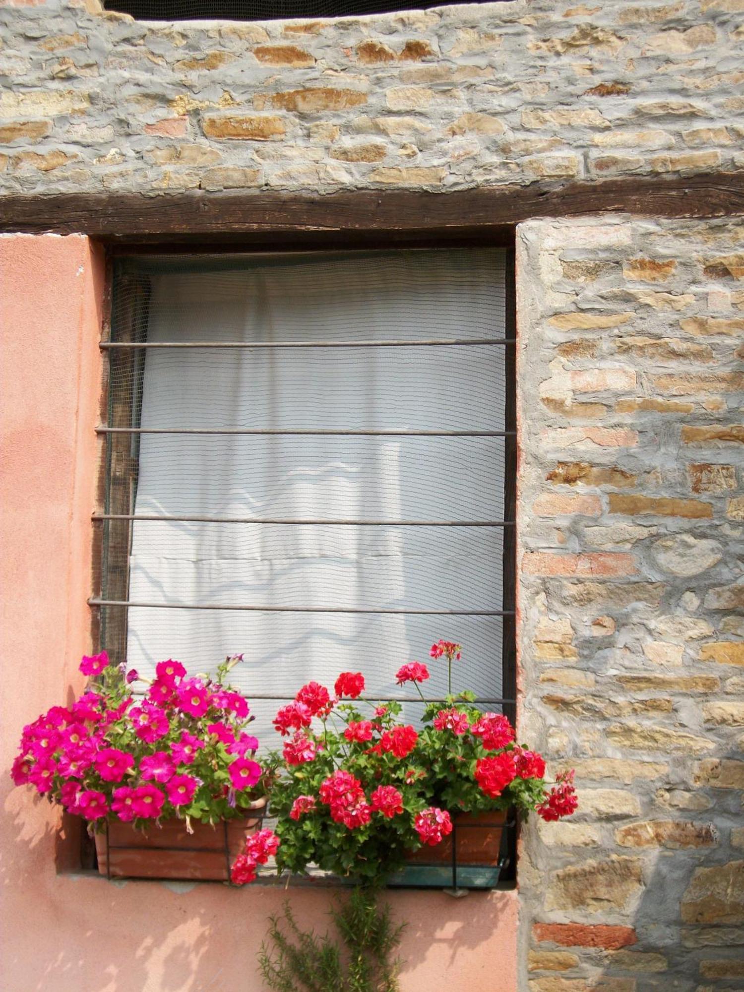 Agriturismo Cà Trinche Camo Esterno foto