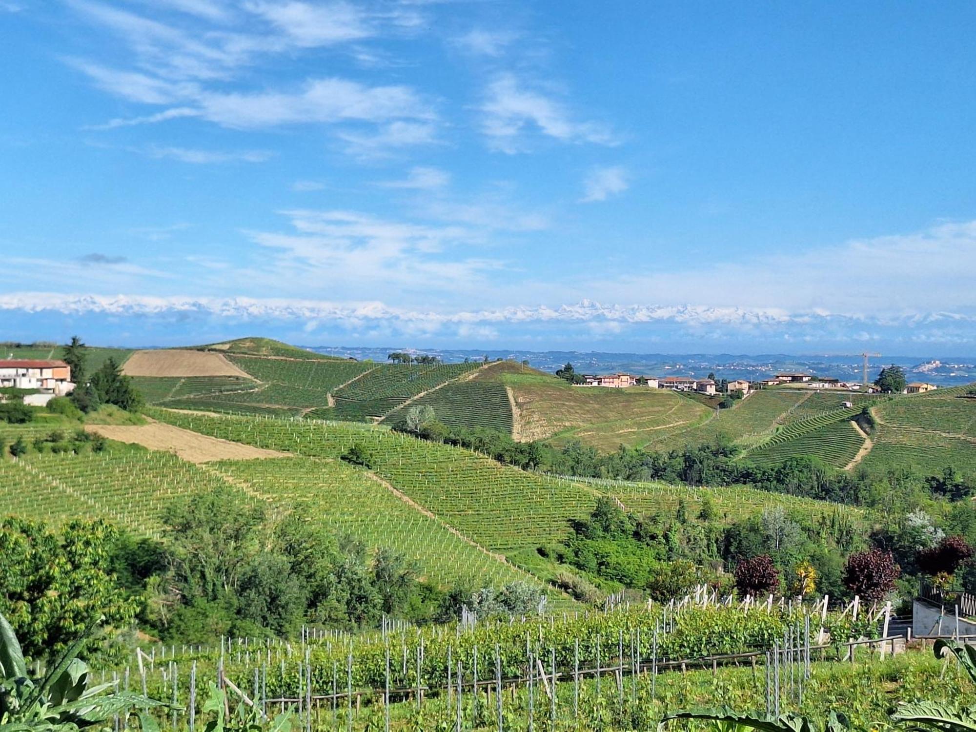 Agriturismo Cà Trinche Camo Esterno foto