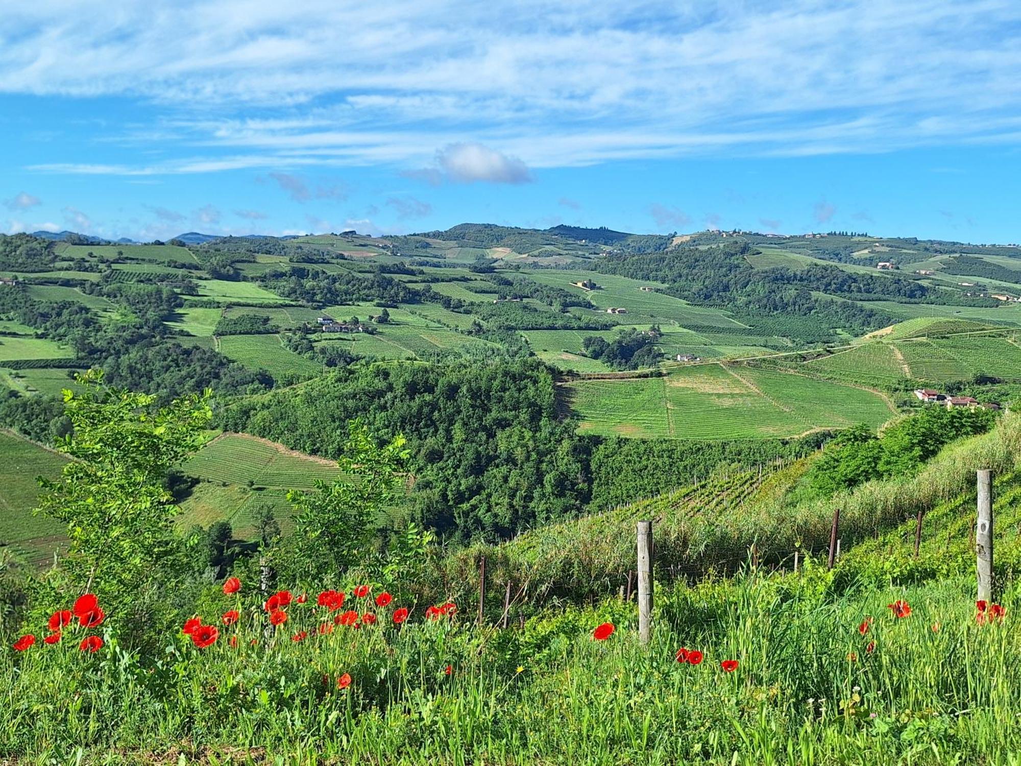 Agriturismo Cà Trinche Camo Esterno foto