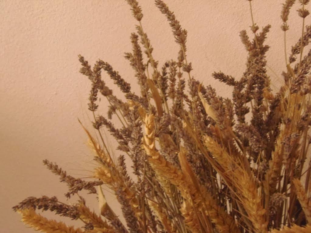 Agriturismo Cà Trinche Camo Esterno foto